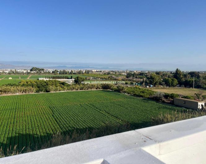 Image No.21-Appartement de 2 chambres à vendre à Algorfa