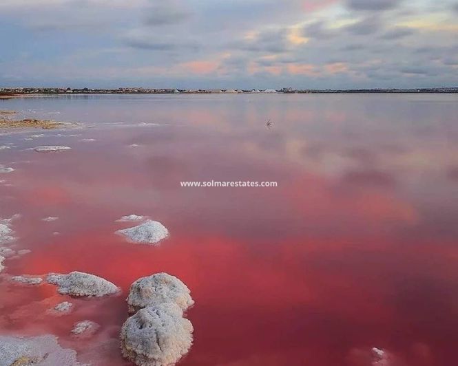 Image No.17-Appartement de 2 chambres à vendre à Torrevieja