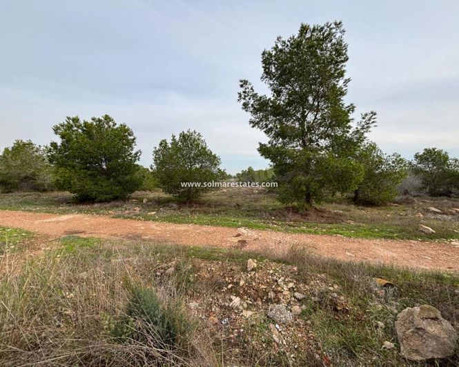 Image No.13-Appartement de 2 chambres à vendre à Torrevieja