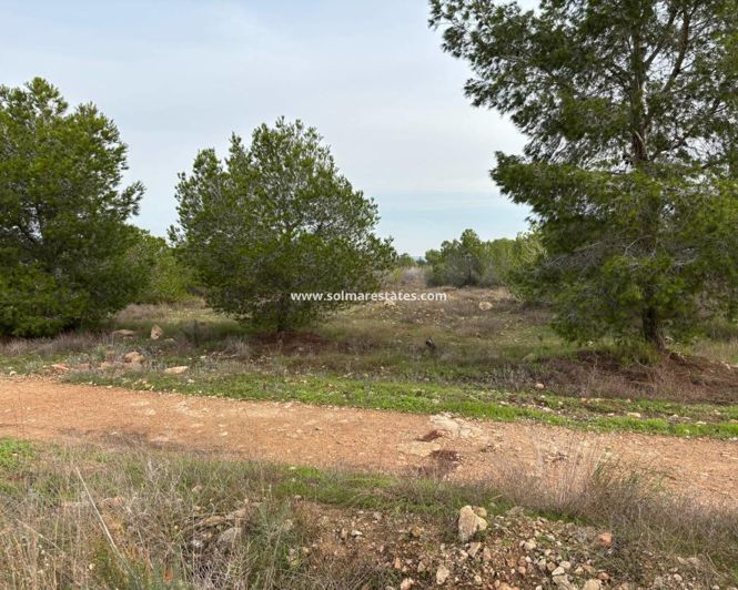 Image No.26-Appartement de 2 chambres à vendre à Torrevieja