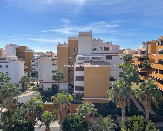 Image No.19-Appartement de 1 chambre à vendre à Punta Prima