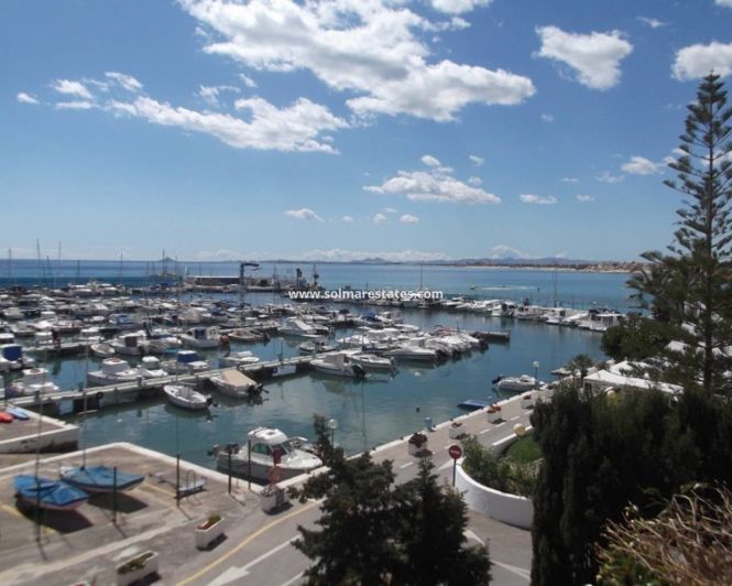 Image No.34-4 Bed House for sale