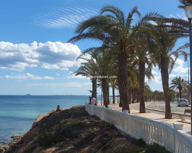 Image No.36-4 Bed House for sale