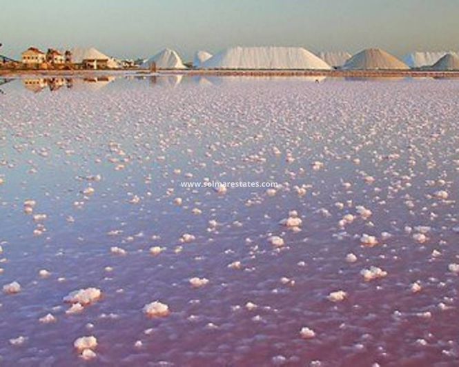 Image No.38-4 Bed House for sale