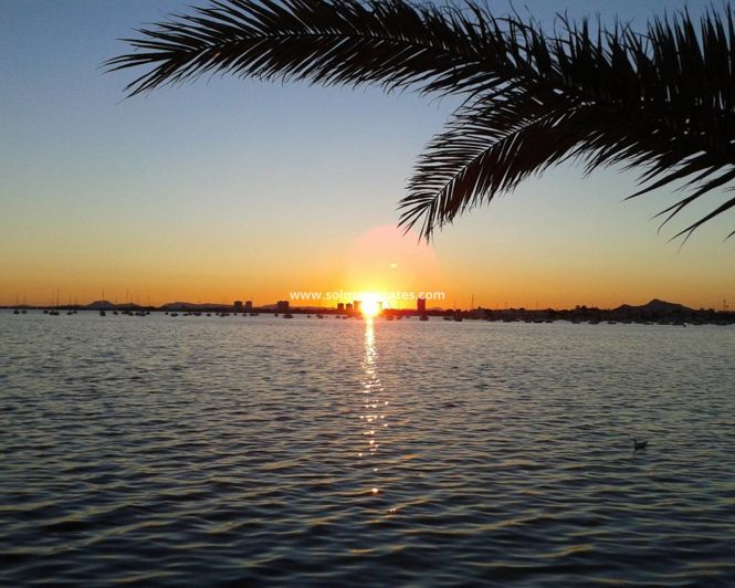 Image No.41-4 Bed House for sale