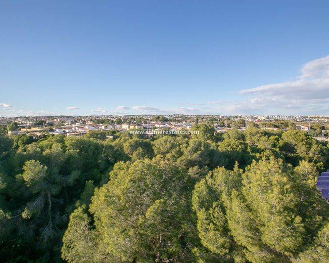 Image No.43-2 Bed Apartment for sale