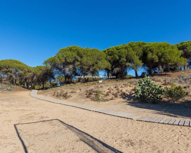 Image No.21-Appartement de 2 chambres à vendre à Guardamar del Segura