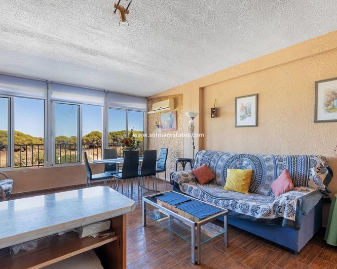 Image No.3-Appartement de 2 chambres à vendre à Guardamar del Segura