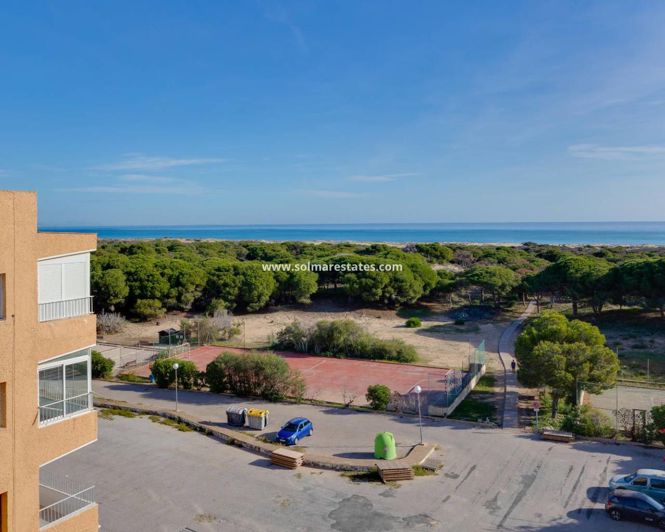 Image No.34-Appartement de 2 chambres à vendre à Guardamar del Segura