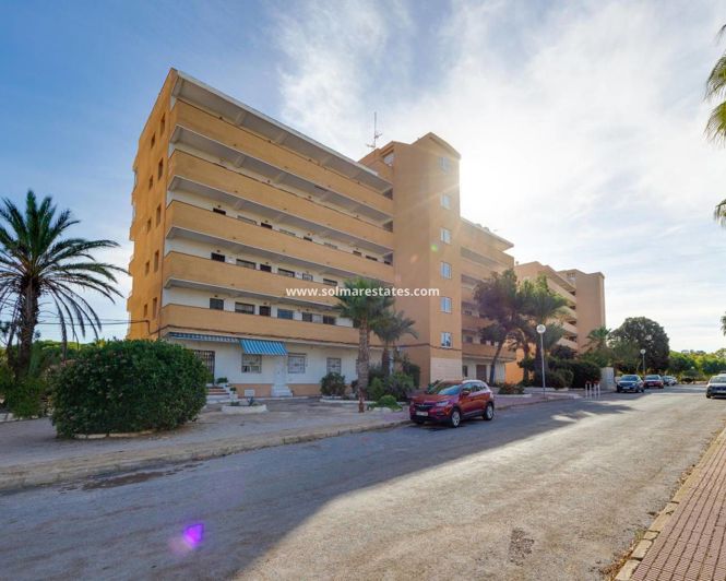 Image No.38-Appartement de 2 chambres à vendre à Guardamar del Segura