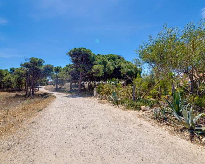 Image No.42-Appartement de 2 chambres à vendre à Guardamar del Segura