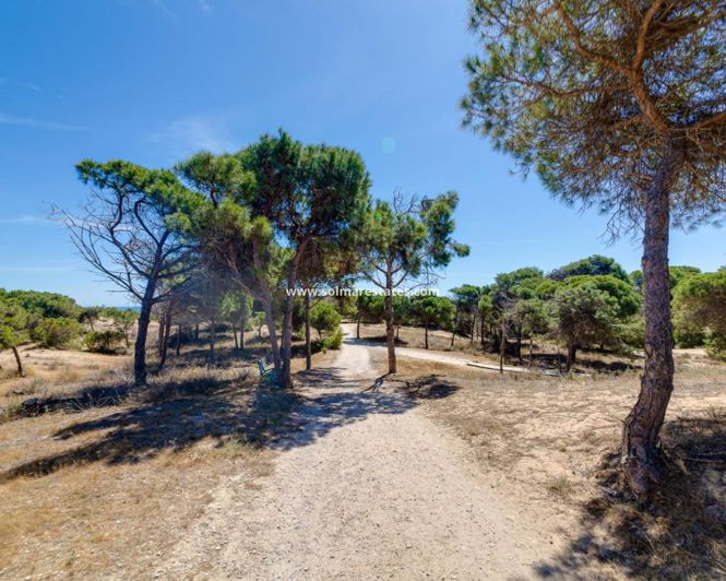 Image No.43-Appartement de 2 chambres à vendre à Guardamar del Segura