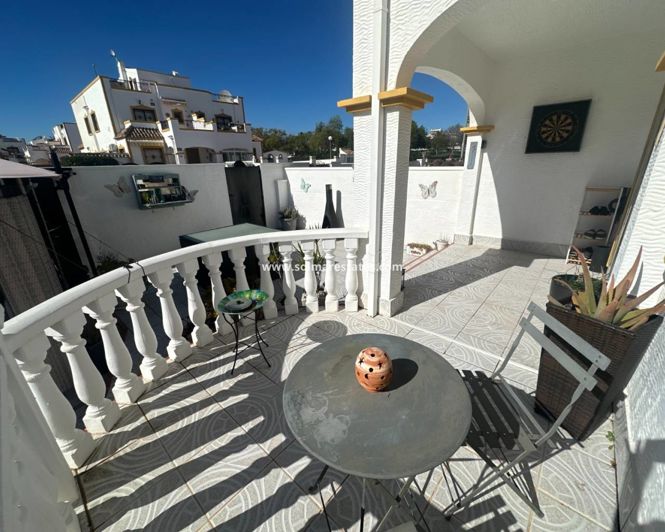 Image No.7-3 Bed Quad for sale