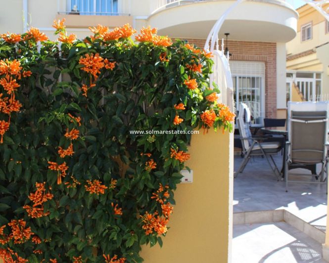 Image No.24-3 Bed Quad for sale