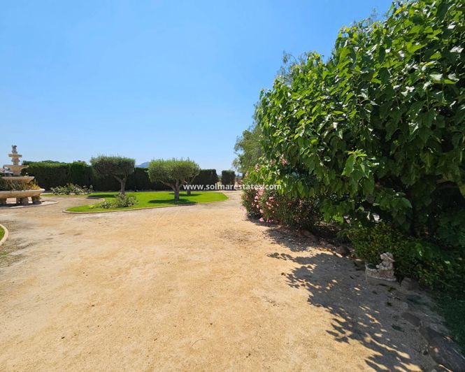 Image No.4-Maison de ville de 2 chambres à vendre à Catral