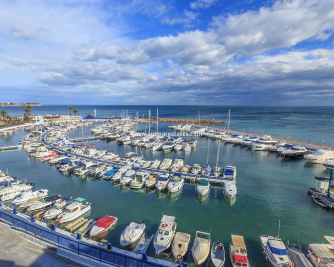 Image No.46-3 Bed Quad for sale