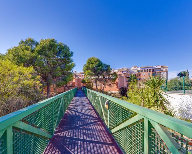Image No.43-Appartement de 2 chambres à vendre à Playa Flamenca