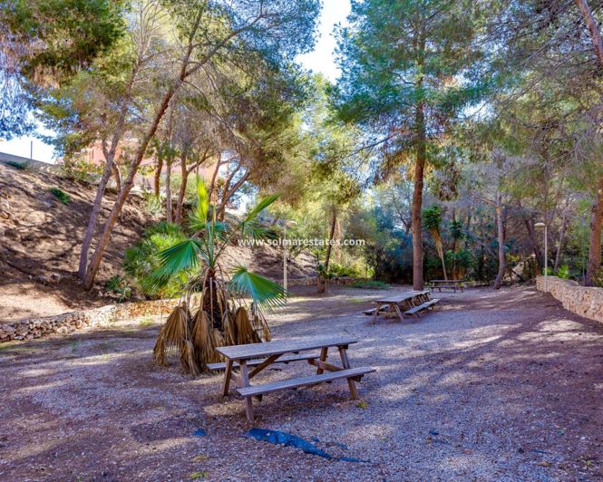 Image No.46-Appartement de 2 chambres à vendre à Playa Flamenca