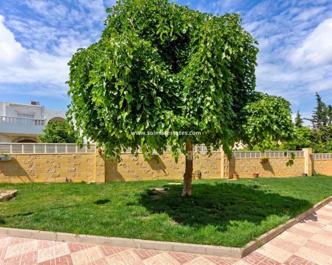 Image No.21-1 Bed Apartment for sale