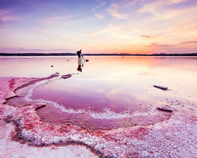 Image No.34-Appartement de 2 chambres à vendre à Villamartin
