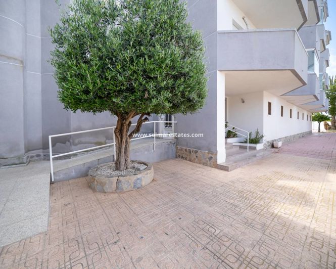 Image No.23-Appartement de 1 chambre à vendre à Cabo Roig