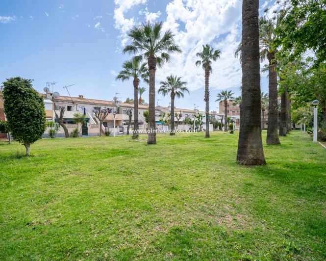 Image No.24-Appartement de 1 chambre à vendre à Cabo Roig