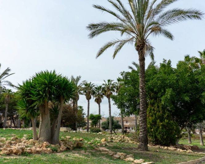 Image No.48-2 Bed Villa for sale