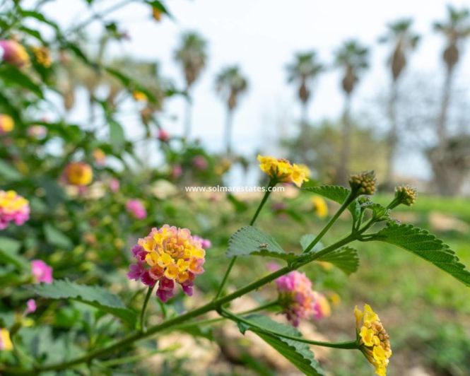 Image No.50-2 Bed Villa for sale