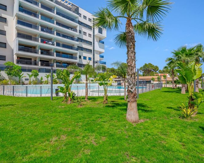 Image No.41-3 Bed Apartment for sale