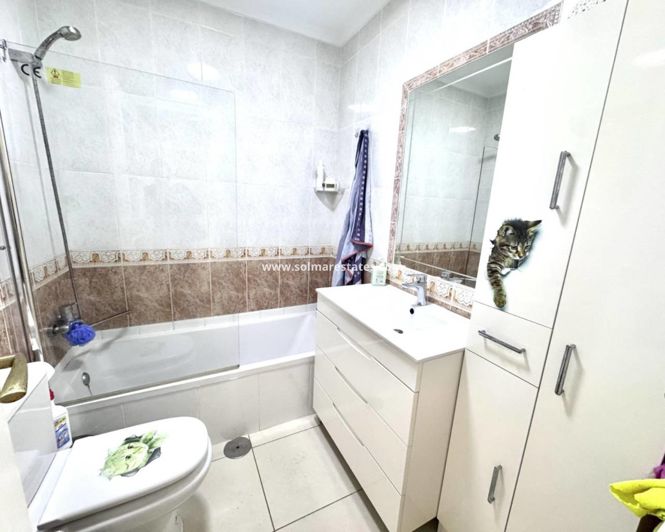 Image No.12-3 Bed Quad for sale