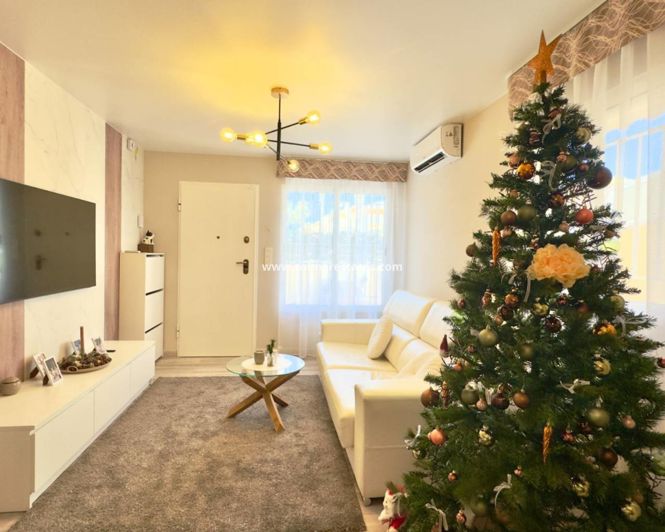 Image No.3-3 Bed Quad for sale