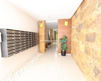 2638871xl