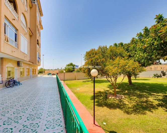 Image No.23-Appartement de 2 chambres à vendre à Torrevieja