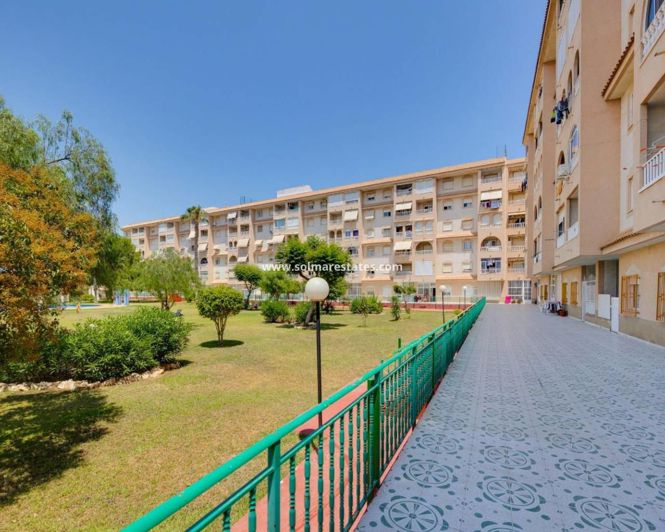 Image No.24-Appartement de 2 chambres à vendre à Torrevieja
