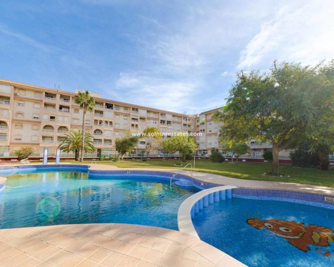 Image No.40-Appartement de 2 chambres à vendre à Torrevieja