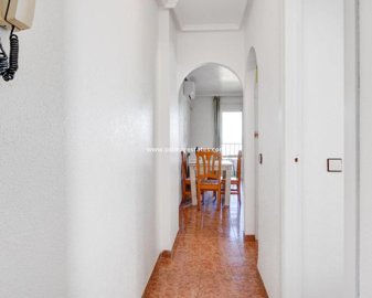 2475394xl