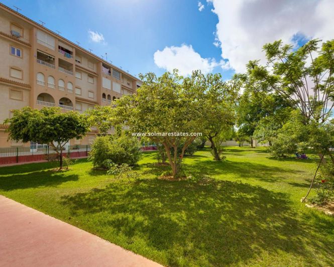 Image No.33-Appartement de 2 chambres à vendre à Torrevieja