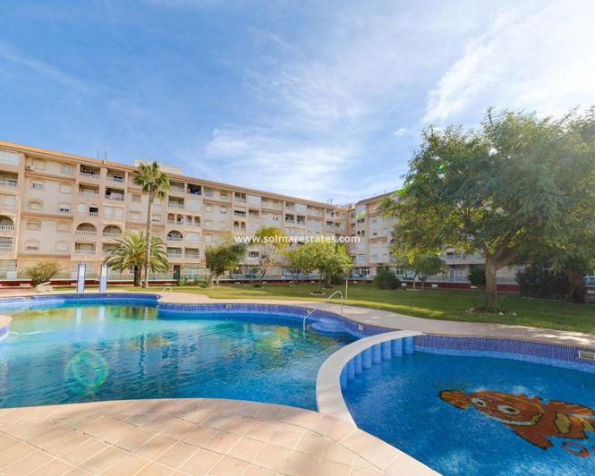 Image No.41-Appartement de 2 chambres à vendre à Torrevieja
