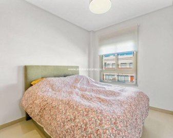 2555206xl