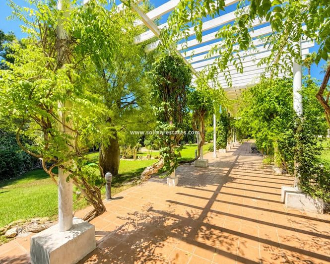 Image No.4-3 Bed Villa for sale