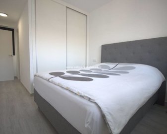 2636491xl