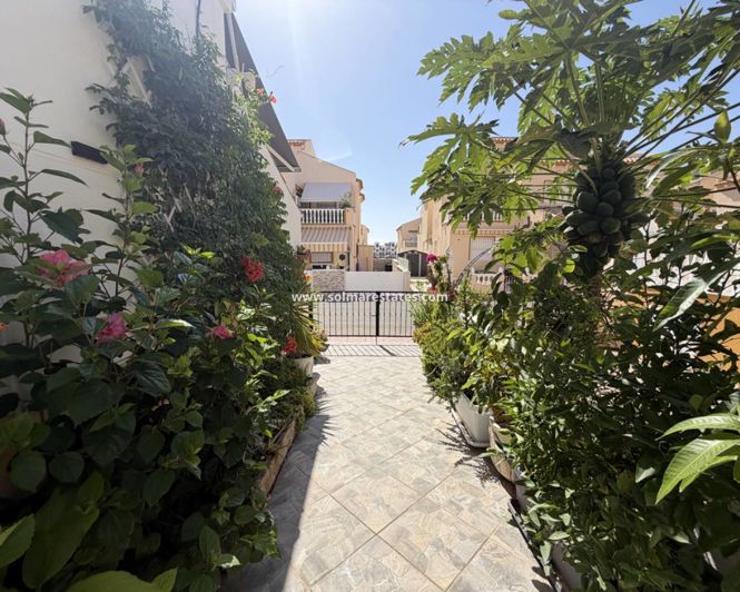 Image No.5-2 Bed Quad for sale