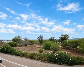 2659867xl