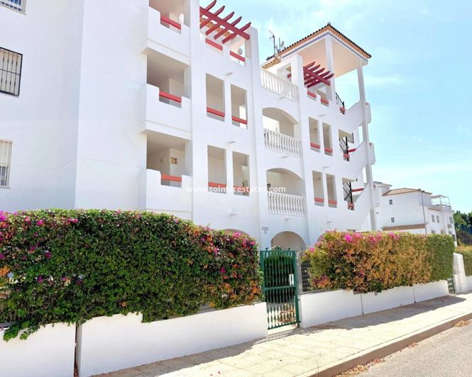 Image No.14-Appartement de 2 chambres à vendre à Villamartin