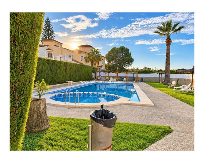 Image No.2-3 Bed Quad for sale