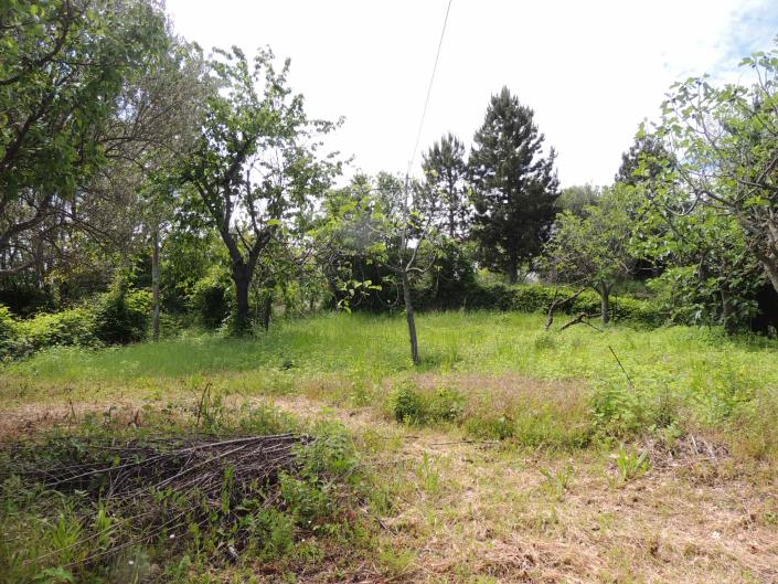 Image No.39-2 Bed Country House for sale