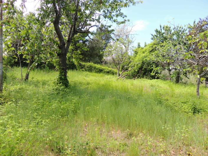 Image No.40-2 Bed Country House for sale