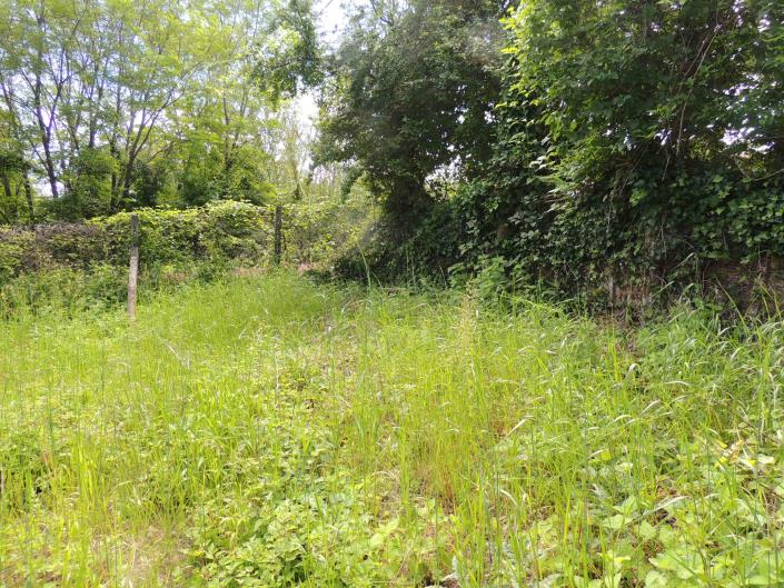 Image No.43-2 Bed Country House for sale