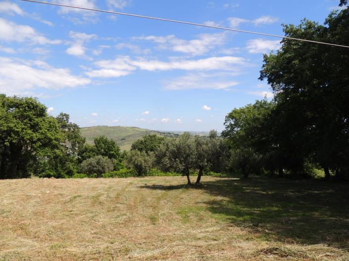 Image No.55-2 Bed Country House for sale