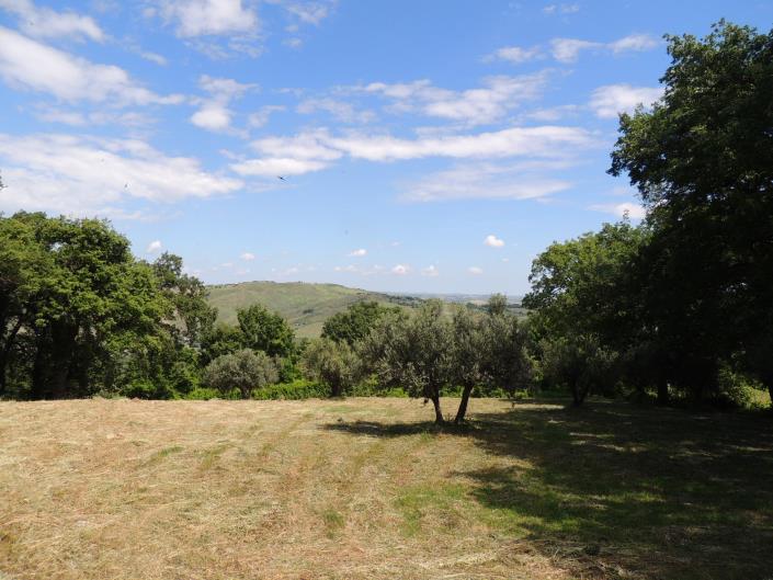 Image No.57-2 Bed Country House for sale